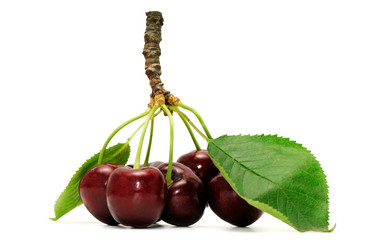 Similar image 1914358