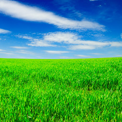 Similar image 1914430