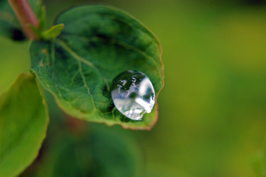 Similar image 1914454