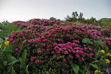 Similar image 1914457