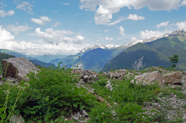 Similar image 1914460