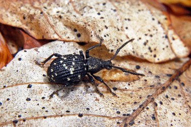 Similar image 1914470