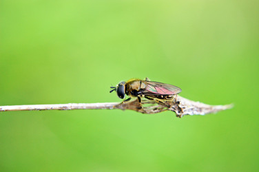 Similar image 1914472