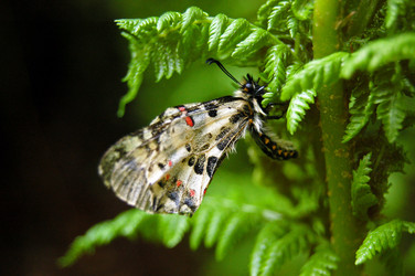 Similar image 1914473