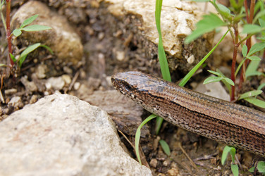 Similar image 1914530