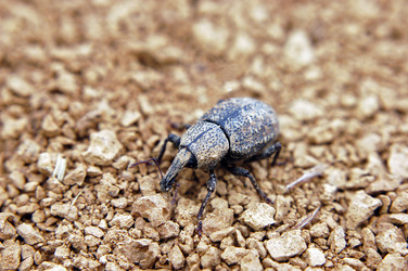 Similar image 1914534