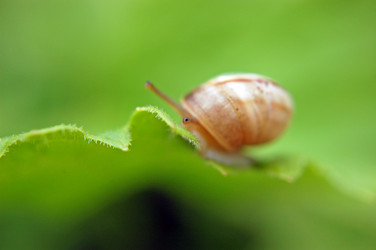 Similar image 1914535