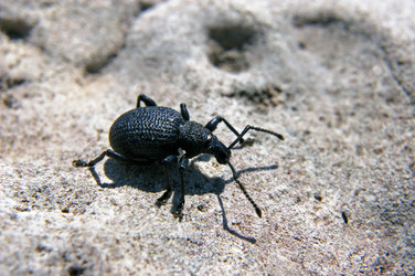 Similar image 1914536