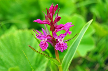 Similar image 1914538