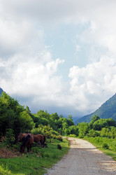 Similar image 1914541