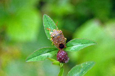 Similar image 1914542