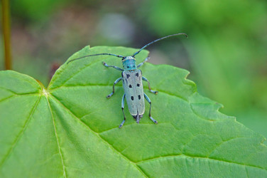 Similar image 1914543