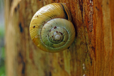 Similar image 1914546