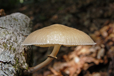 Similar image 1914551