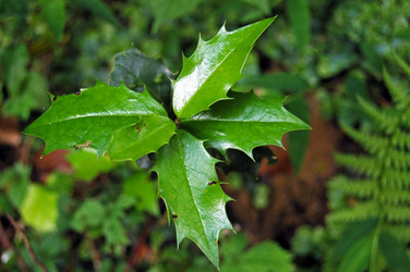 Similar image 1914552