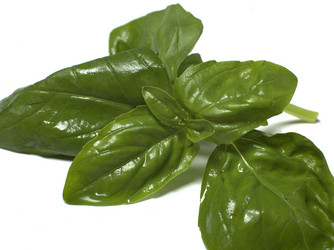 Similar image 1914631