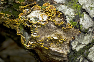 Similar image 1914739