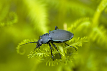 Similar image 1914750