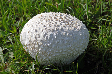 Similar image 1914751