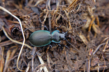 Similar image 1914753