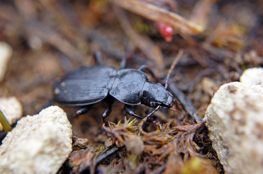 Similar image 1914754