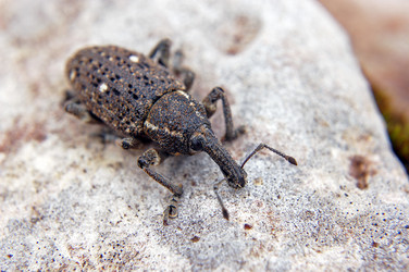 Similar image 1914755