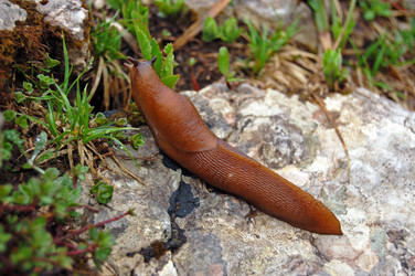 Similar image 1914757