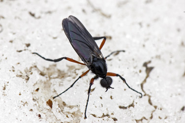 Similar image 1914760