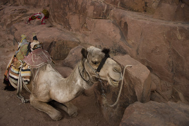 Similar image 1914822