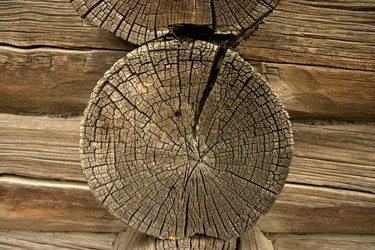 Similar image 1914856