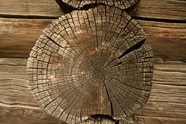 Similar image 1914858