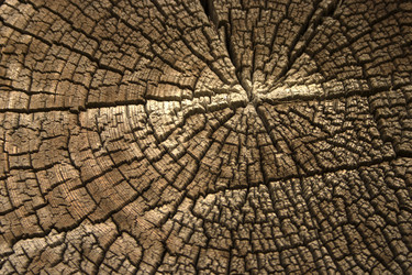 Similar image 1914860