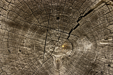 Similar image 1914861