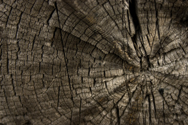 Similar image 1914863