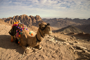 Similar image 1914866