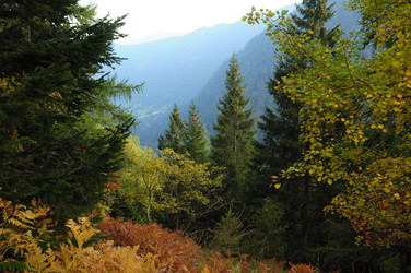 Similar image 1915241