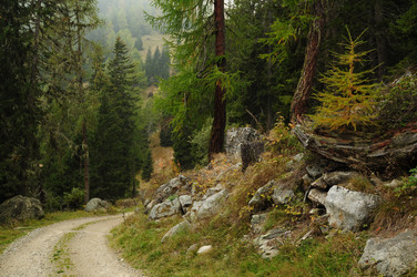 Similar image 1915246