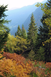 Similar image 1915250