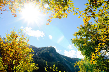 Similar image 1915258