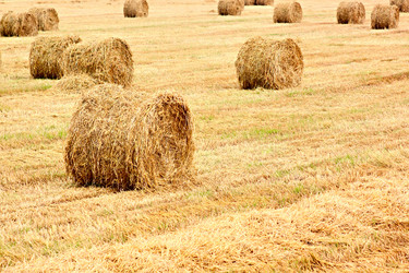 Similar image 1915265