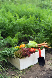 Similar image 1915303