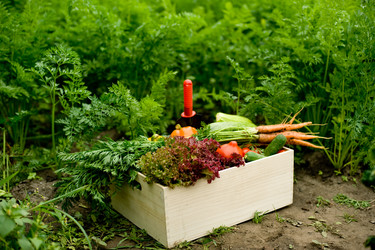 Similar image 1915305