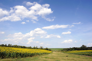 Similar image 1915307