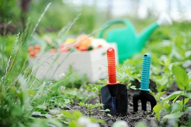 Similar image 1915375