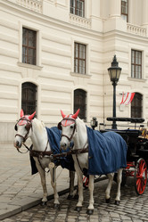 Similar image 1915388