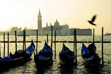 Similar image 1915389