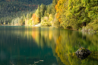 Similar image 1915394