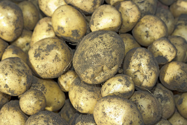 Similar image 1915847