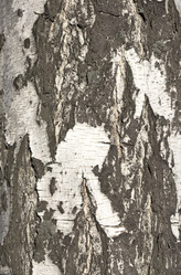 Similar image 1915849