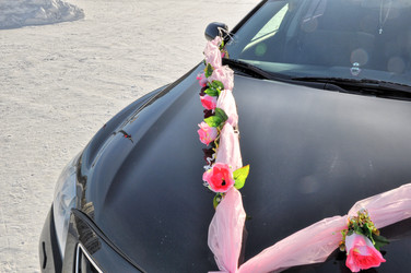 Similar image 1916772